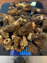 Spring wild Edibles Field Immersion