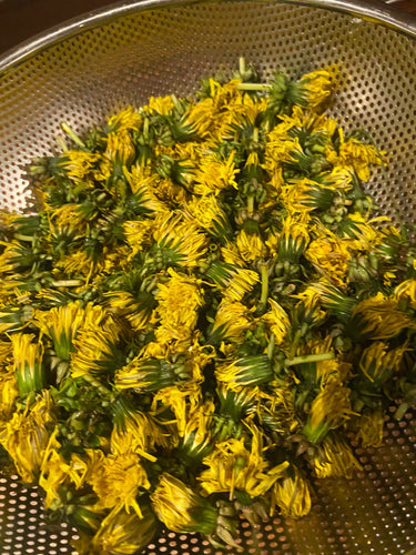 Spring wild Edibles Field Immersion